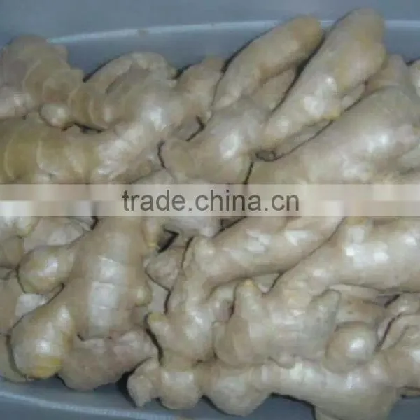 Ginger Root Price photo-5