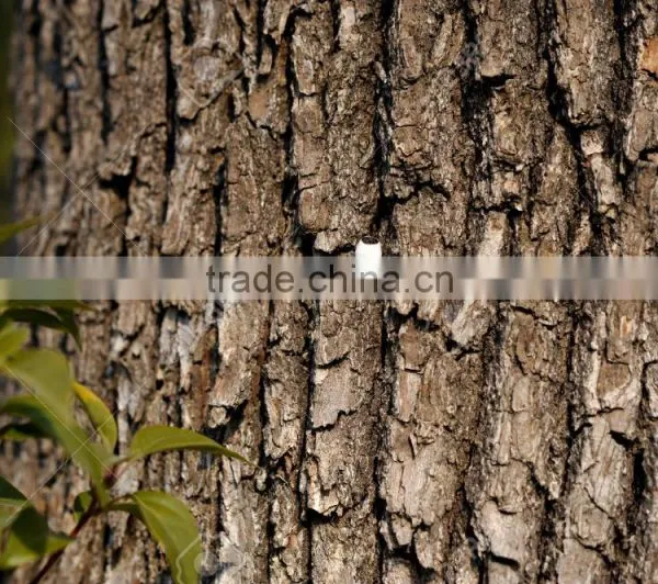 Camphor and Coconut Oil photo-2