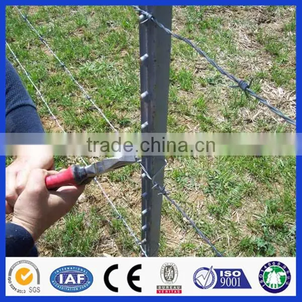 DM(ISO9001 Factory)Cheap "T" Fence Post for Farm photo-3