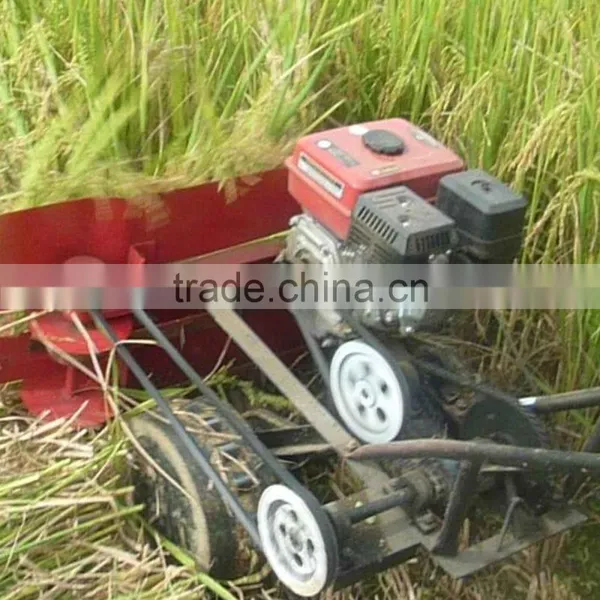 Gasoline Engine 4G90 Wheat Crop Cutting Machine photo-5