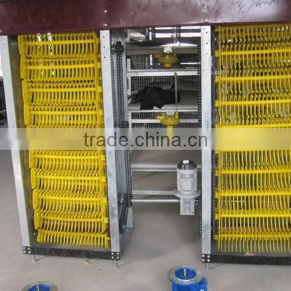 Best Selling Quail Cage For Sale in Quail Farm photo-2