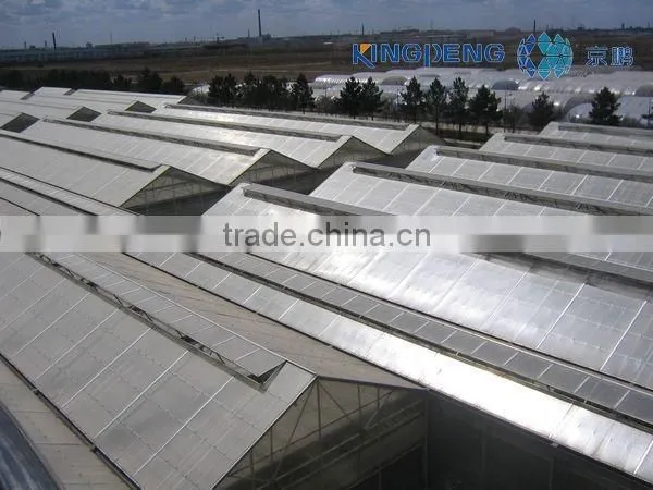 Venlo Agricultural Polycarbonate Sheet Greenhouse photo-4
