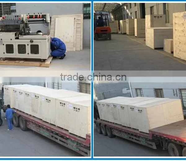 Automatic Pesticide Powder Auger Filler Sachet Packaging Machine photo-6