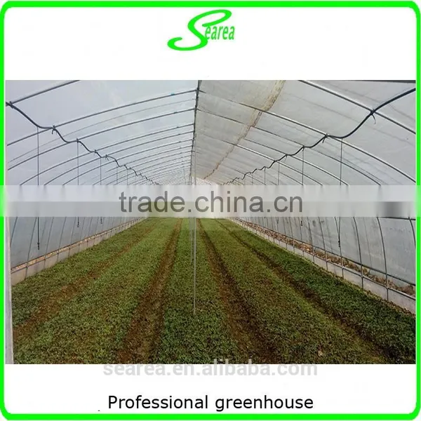 Durable Galvanized Steel Frame Greenhouse Agricultural Greenhouse photo-5