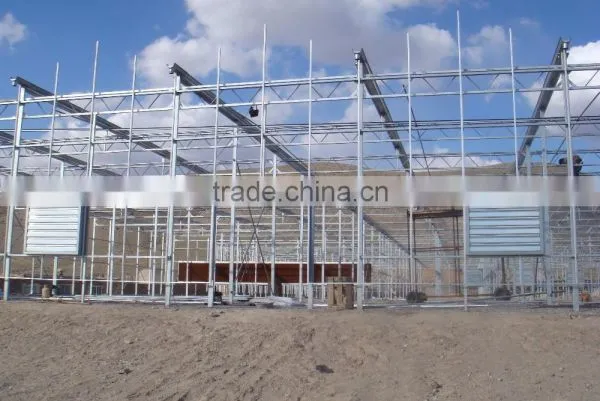 Glass Greenhouses China photo-6