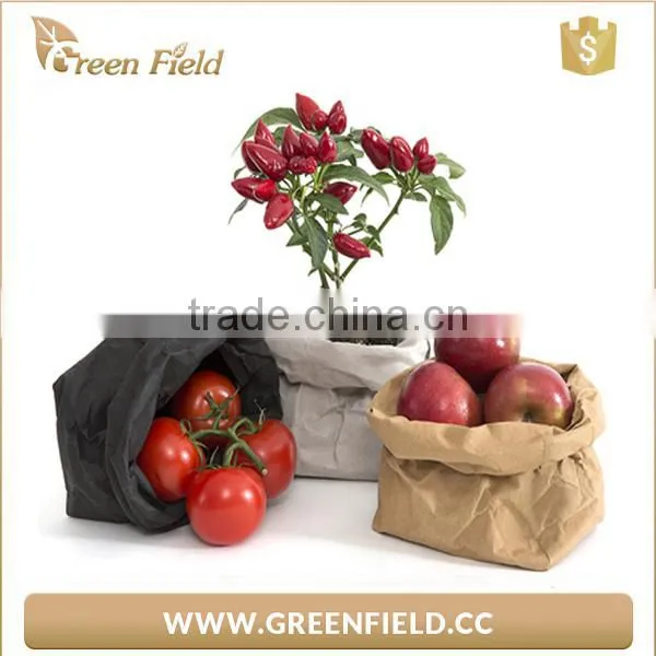 Grey Washable Paper Plant Bag,Kraft Paper Plant Pot photo-3