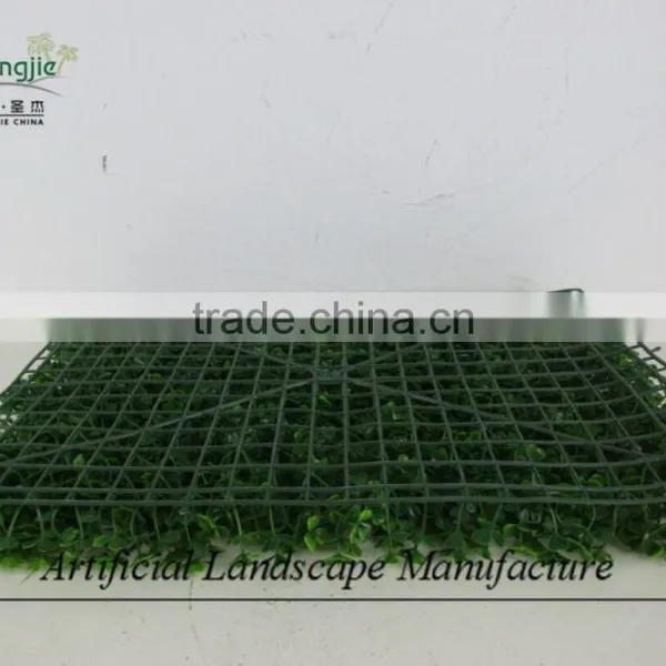 Artificial Boxwood Carpet ,green Wall Hedge Decoration photo-6