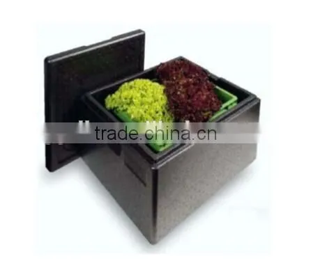 Heat Insulation Environmental Epp Box, Insulation Box, Ice Box, Cooler Box, photo-4