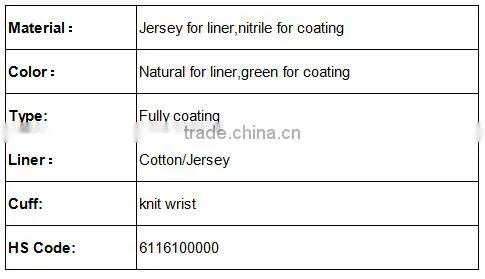 DDSAFETY Hot Sale Green Nitrile Glove Making Machine photo-4