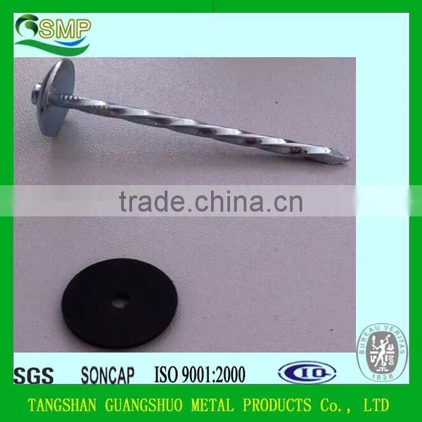 Common Nails/Concrete Steel Nail/Roofing Nail China Manufacturer photo-5