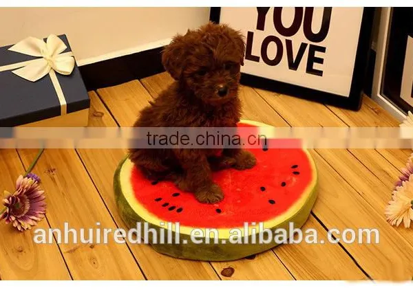 R1929H Hot Selling Summer Fruit Round Pet Cushion Cat Dog Mat Pet Pad Bed photo-2