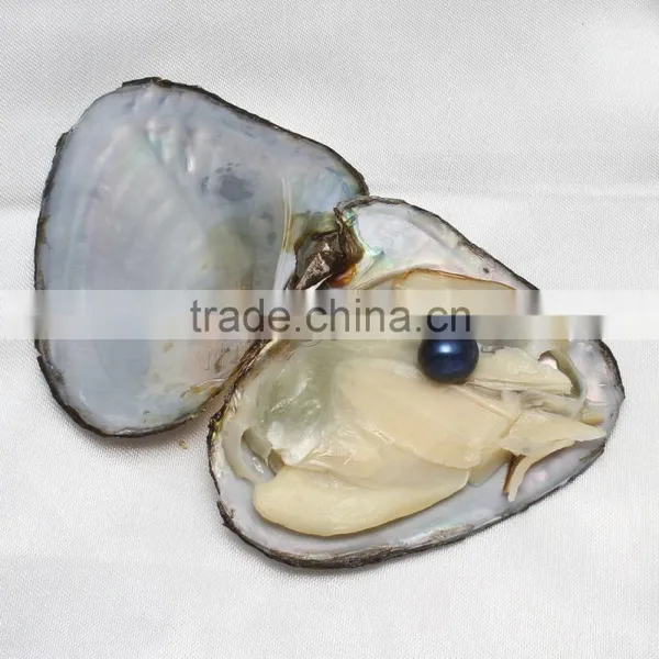 Raw Pearls Freshwater Cultured Love Wish 7.5-8mm Rice Pearl Oyster photo-6