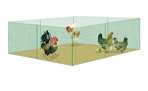 Chicken Wire Netting Hexagonal Wire Netting Poultry Mesh photo-3