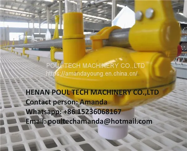 Mozambique Poultry Farm Equipment Plastic Saltted Floor System for Broiler Chicken & Floor Raising System With Automatic Nipple Drinker System & Feeding Pan System in Chicken Shed photo-3