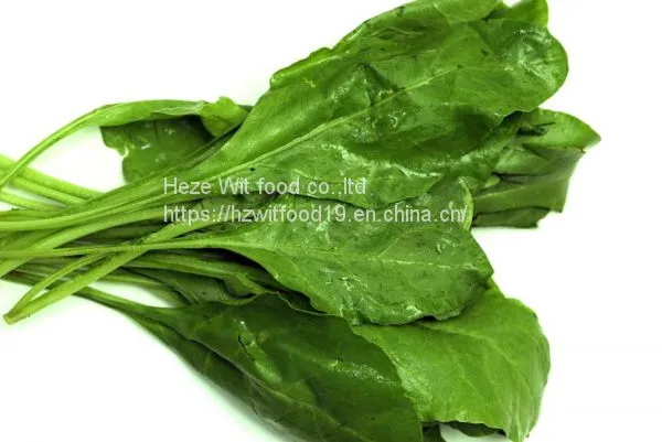 IQF Spinach Leaves