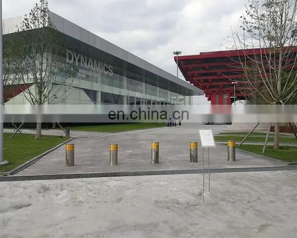 Chinese Factory High Quality Parking Pile 24/36V 350W photo-7