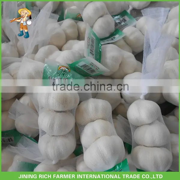 High Quality Price Fresh Natural Wholesale Garlic