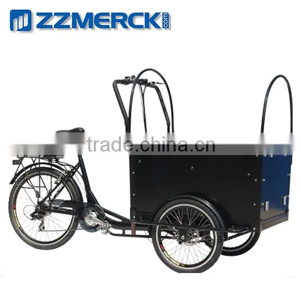 Functional Pedelec Cargo Bike