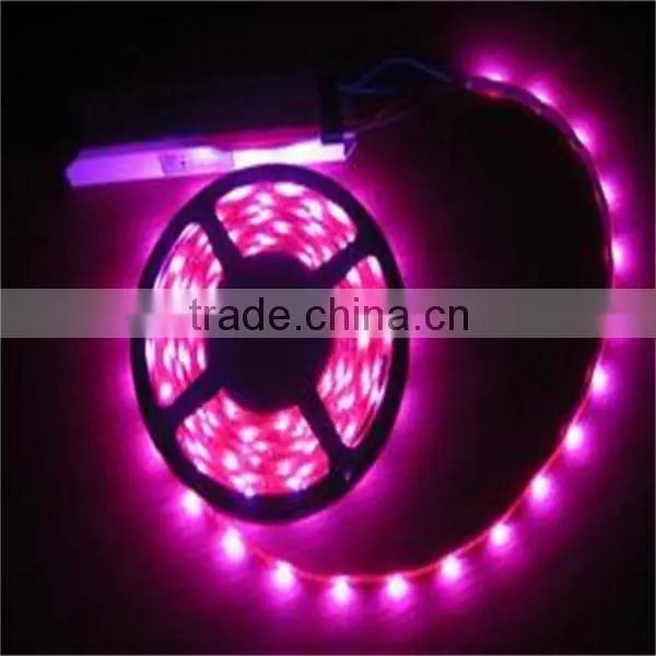 Best Sale 2835 Double Line Pcb White Flexible Led Strip 120les/m photo-5