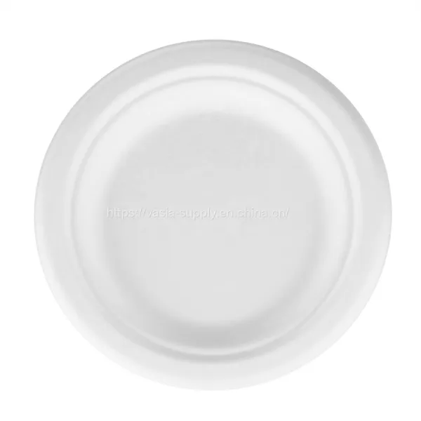 Eco Friendly Disposable Dishes-sugarcane Plates White Round Bleached 22 Cm-ecological Disposable Dishes Plates for Parties Disposable Plates Dishes photo-4