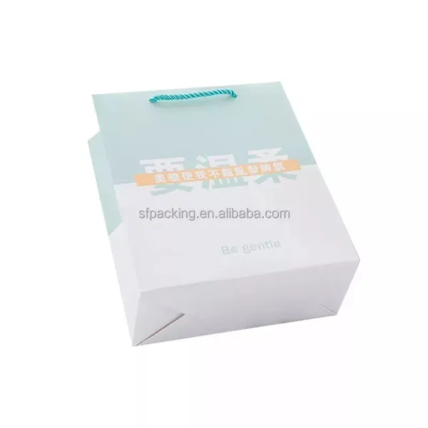 Custom Paper Package OEM Fashion Gift Bags for Shopping photo-2