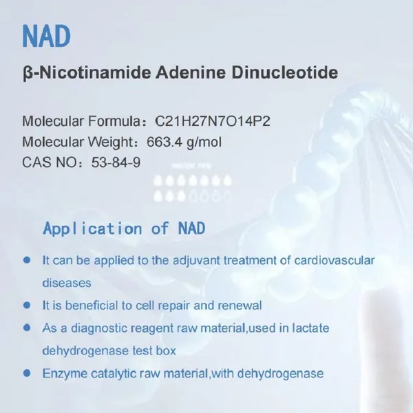 NAD β-Nicotinamide Adenine Dinucleotide//β-NAD photo-4