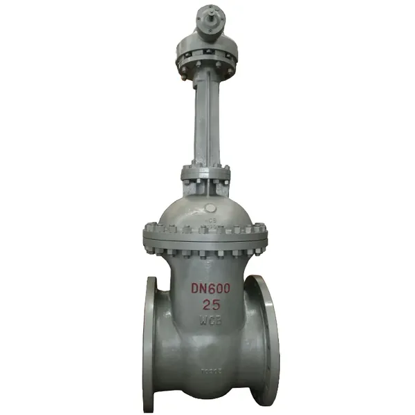 ANSI B16.5 Flanged End WCB Gate Valve CHX Brand Manual Operated Oil Media Normal Temperature Low Pressure photo-3