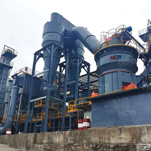 HCM Vertical Roller Mill Grinding Iron Ore To 200 Mesh 50 TPH For Steel Plant Pellet Production Line