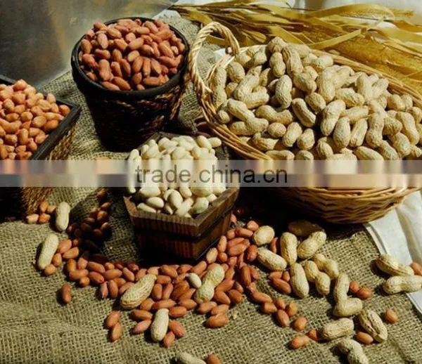 PEANUT KERNELS 24/28