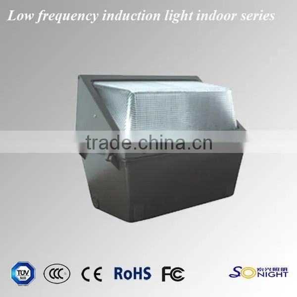 2015 New Idea Anti-corrosion Aluminum Induction Lamps 60W Indoor Light photo-2