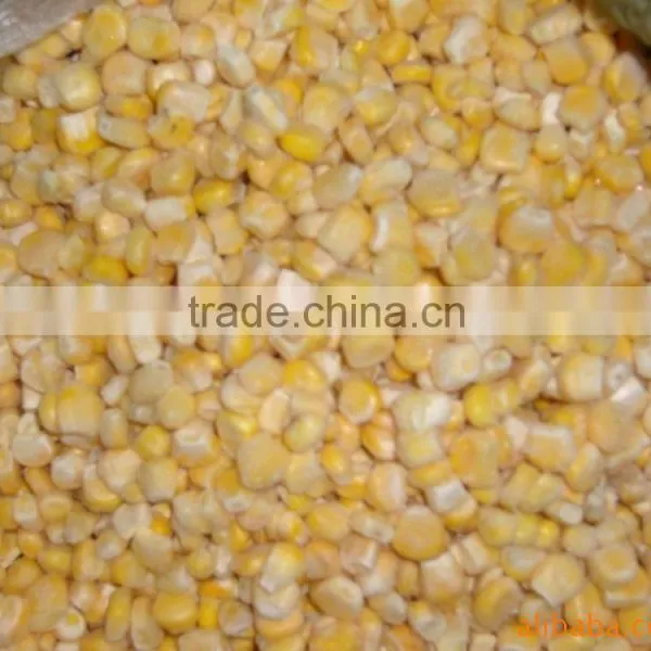 IQF Frozen Sweet Corn Kernel Jinfei Cuiwang Huazhen Variety photo-2