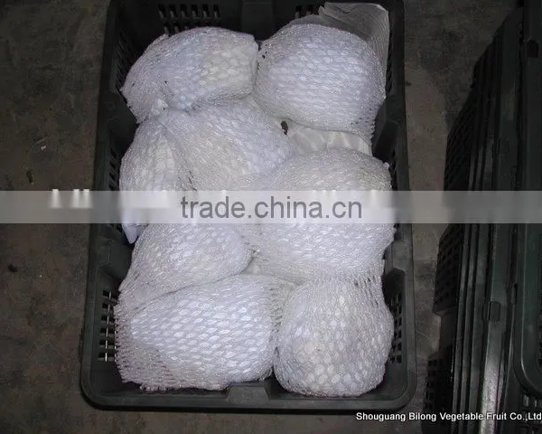 2016 New Crop Fresh Cauliflower (chinese) photo-2