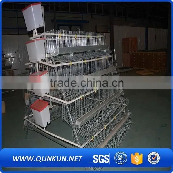 a Type Cheap Price Chicken Cage for Hen photo-6
