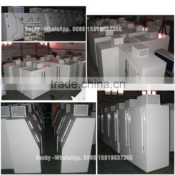 Refrigerated Ice Storage Box With Static Refrigeration System photo-4
