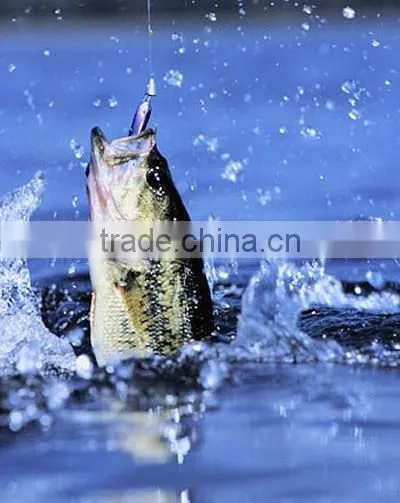 Aquaculture Equipment of Ultraviolet System photo-6