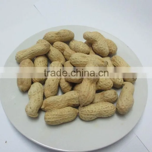 Wholesale Roasted Red Skin Peanut photo-3