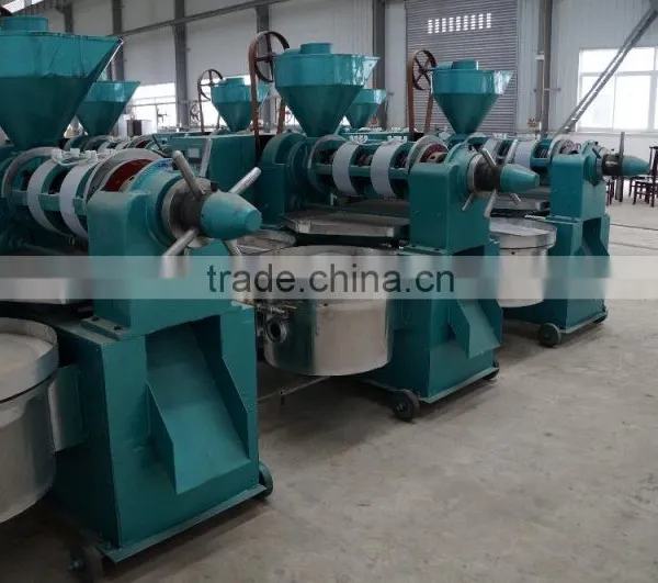 YZYX120WZ Peanut Oil Making Machine With Oil Filter photo-5