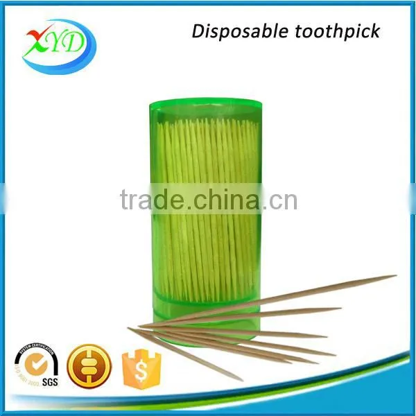 Sales Promotion Plastic Jar Toothpick, Birch Wooden Tooth Pick photo-4