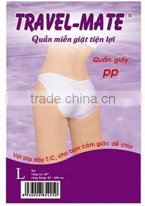 Vietnam Hot Selling Comfortable Disposable Maternity Panties photo-4