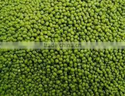 GREEN MUNG BEANS