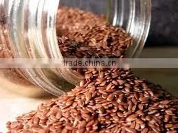 Flax Seed photo-2