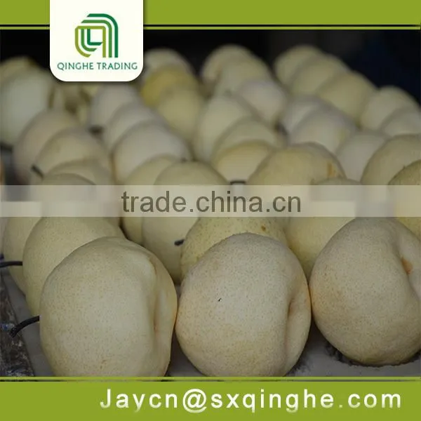 Bulk su Pear Export From China