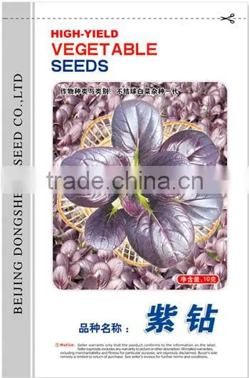 Chinese vegetable hybrid cabbage Seeds purple vegetable seeds for sale-Zi Zhan