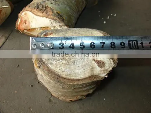 China Supplier 18-50hp Diesel Wood Chipper Shredder Machine photo-5
