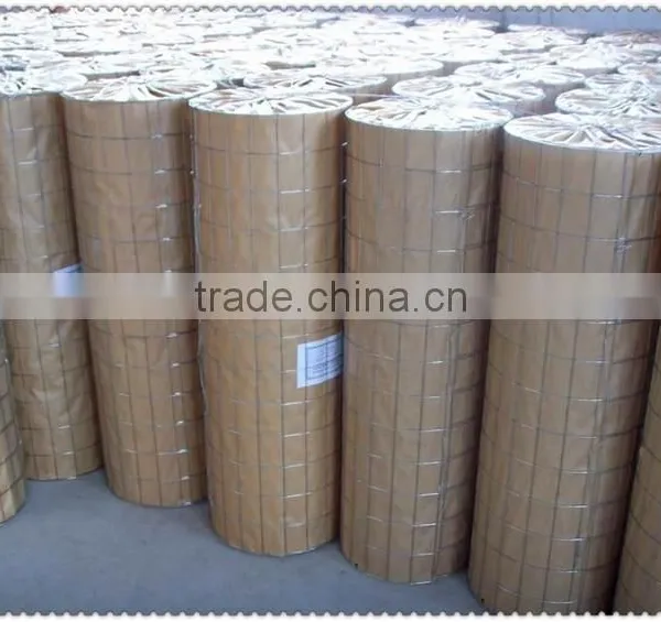 2x2 Galvanized Welded Wire Mesh Panel Galvanized Welded Wire Mesh Galvanized Welded Wire Mesh Chian Supplier photo-6