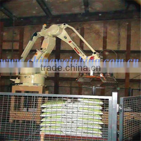 Palletizer Robot photo-3