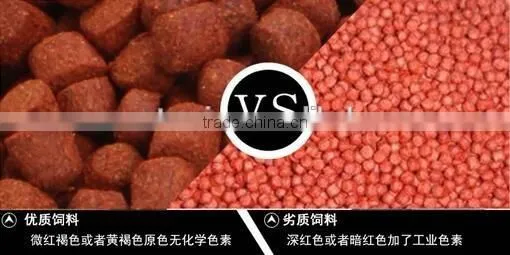Fish Food Process Line photo-5