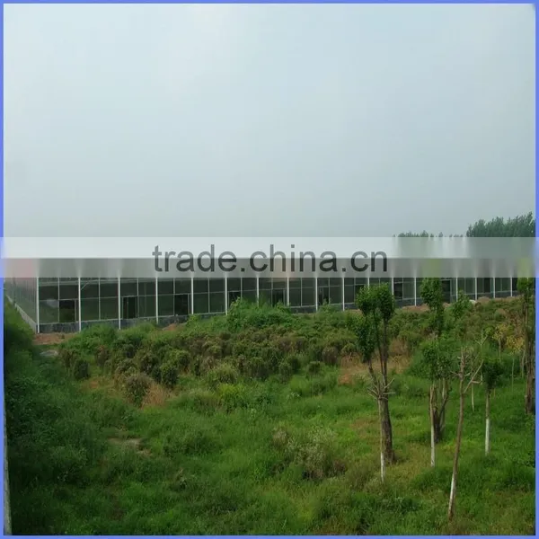 6mm Greenhouse Polycarbonate Sheet Price photo-6
