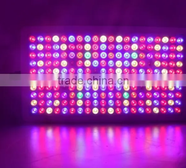 Hot Selling 300w 600w 1000w Panel Lights 5w Epistar Chips (200x5w) Full Spectrum Indoor Greenhouse Led Light photo-5