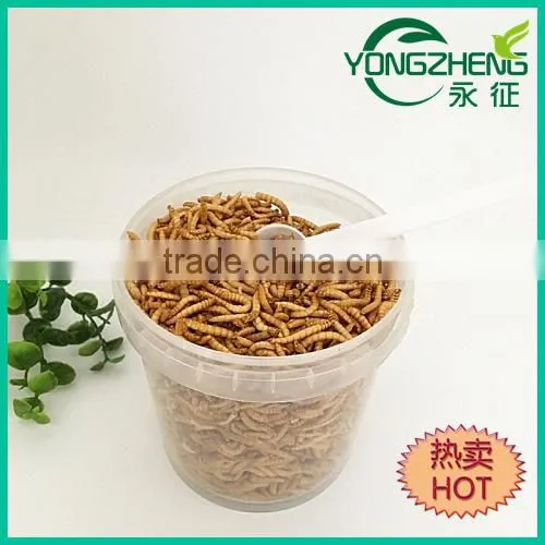 Freeze Dried Mealworms/Freeze Dried Tenebrio Molitors for Pets photo-3